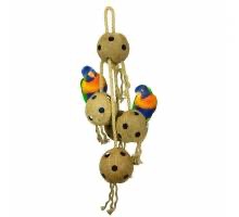 Coconut Chain