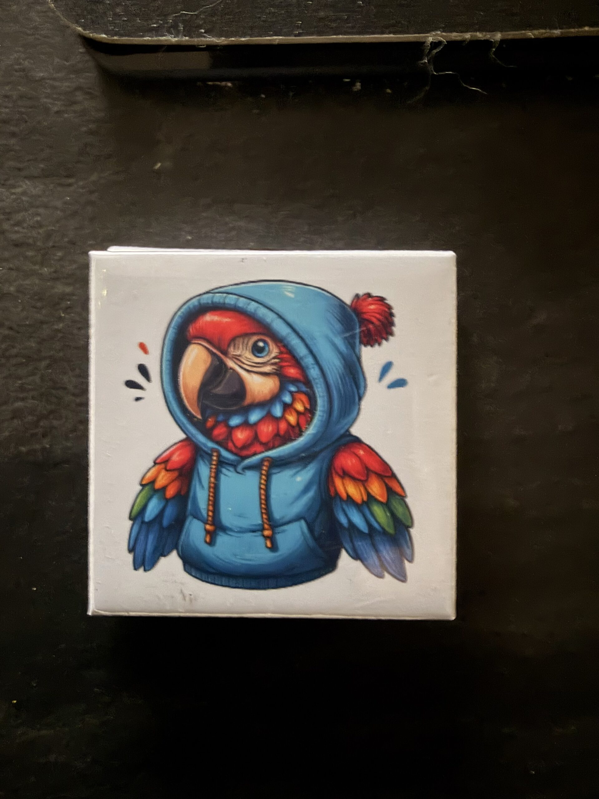 Koelkast magneet Ara Hoodie