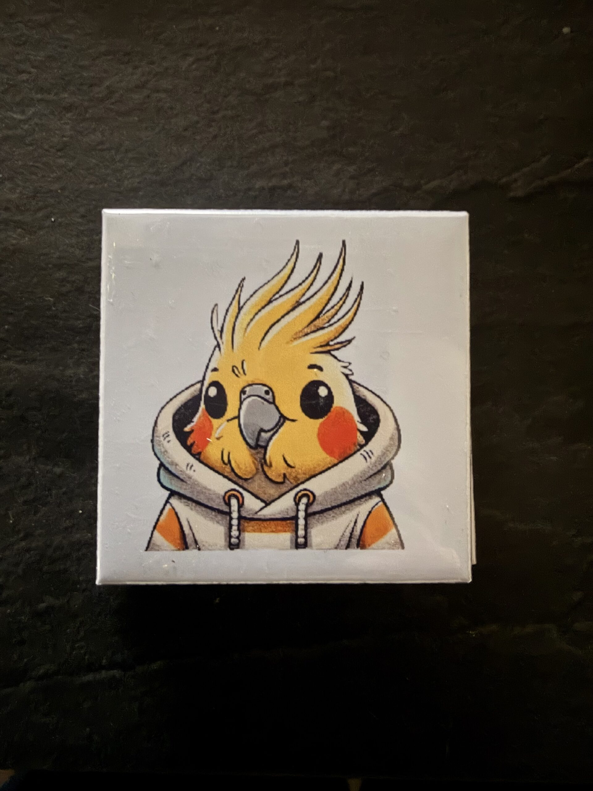 Koelkast magneet Valkparkiet Hoodie