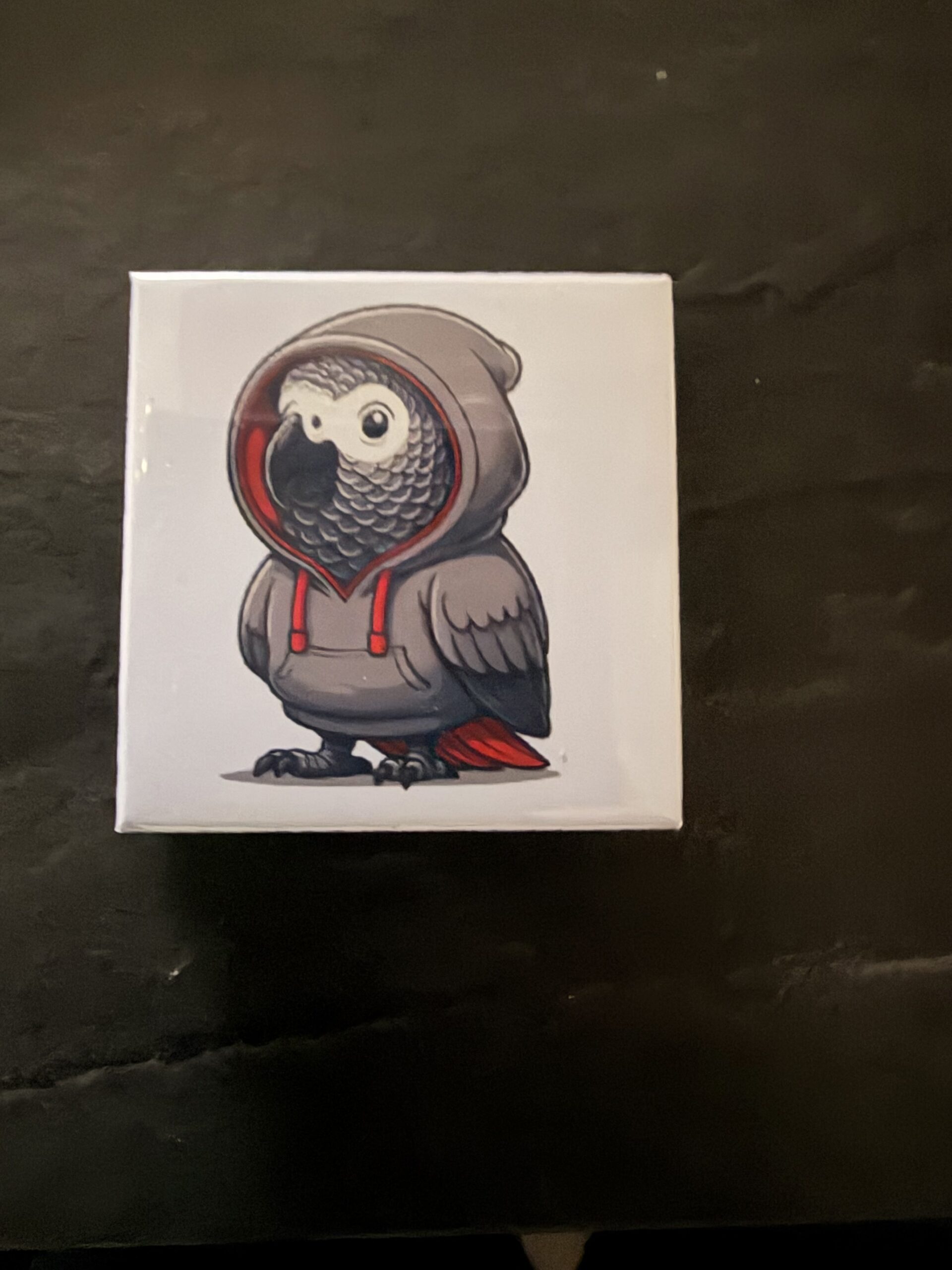 Koelkast magneet Grijzeroodstaart Hoodie
