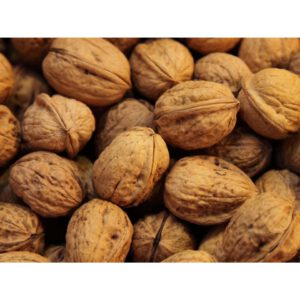 walnoot in dop  1 kilo