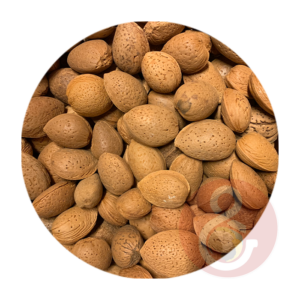 Amandelnoot in dop  1 kg