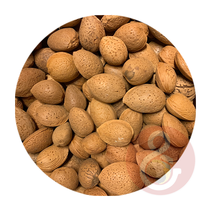 Amandelnoot in dop 1 kg