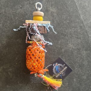RVS Ananas foerageer XS/S