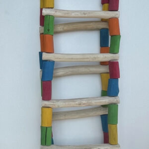 Rainbow Ladder Swing L