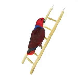 Java Ladder