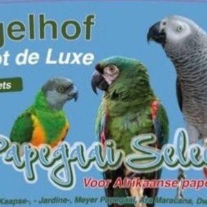 PAPEGAAI SELECT met pellets - 5 kg Vogelhof