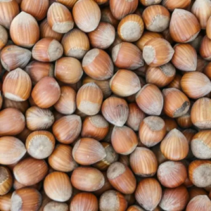 Hazelnoot in dop 2 kilo Aktie