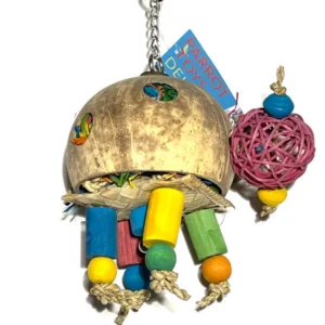 COCONUT TURTLE